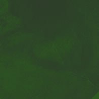 Pomniki przyrody obraz