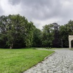 Pomnik przyrody Tilia cordata